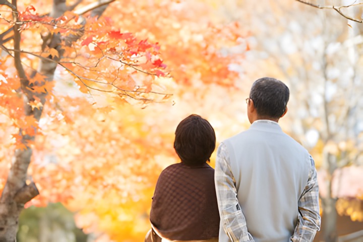 「定年後も働けば安心」は本当か？年金不安時代の生活設計に欠かせない3つの現実的ステップ